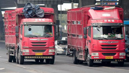 道路貨運車輛 從業人員及場站最新防疫工作指南來了